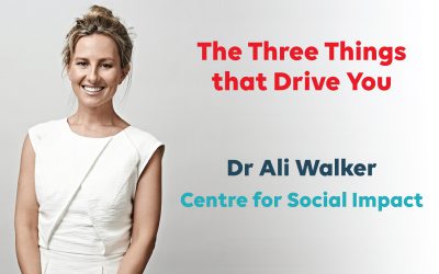 The Three Things that Drive You