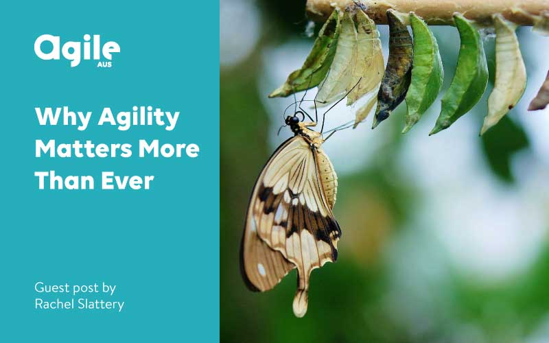 Why Agility Matters More Than Ever